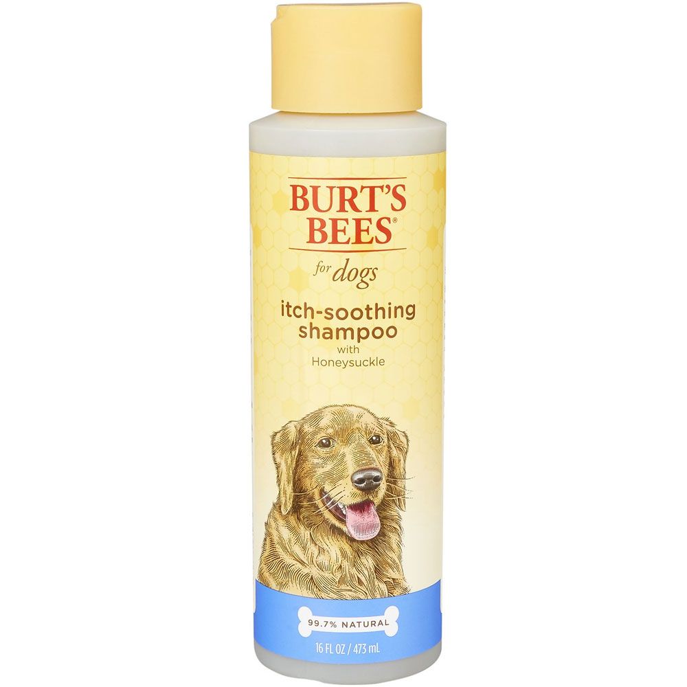 Burt's Bees Itch Soothing Shampoo with Honeysuckle for Dogs (10 oz