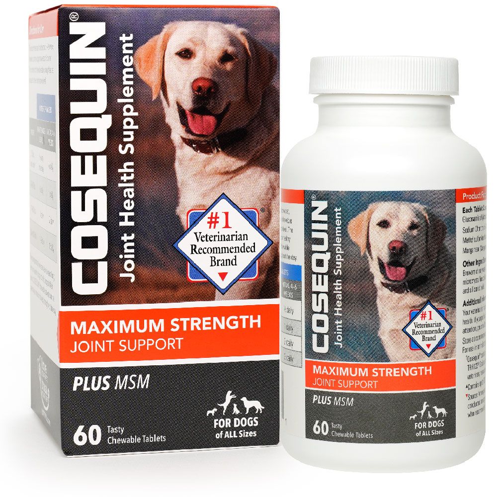 How Quickly Does Cosequin Work For Dogs A Timely Guide