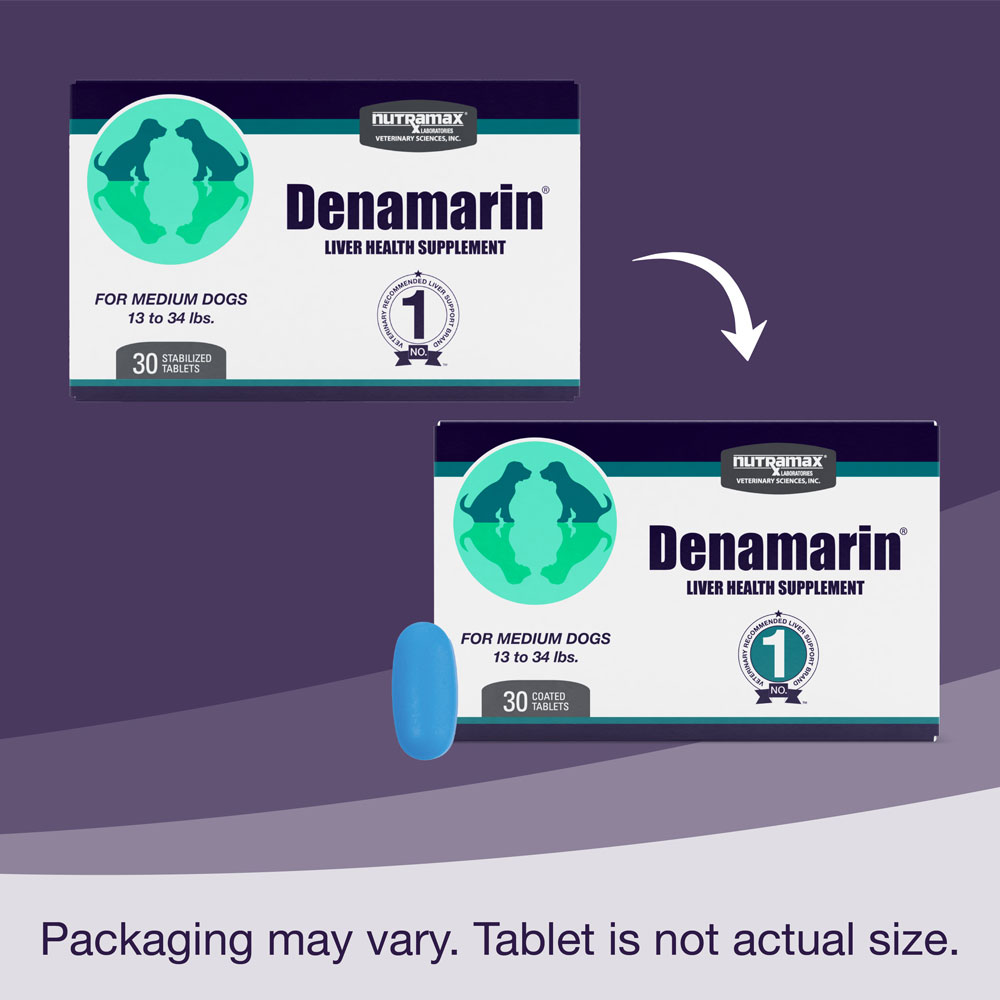 Nutramax Denamarin Liver Health Supplement for Medium Dogs With S