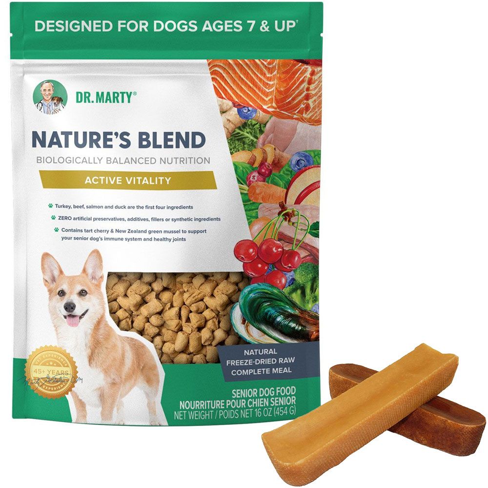 what-food-is-good-for-senior-dog