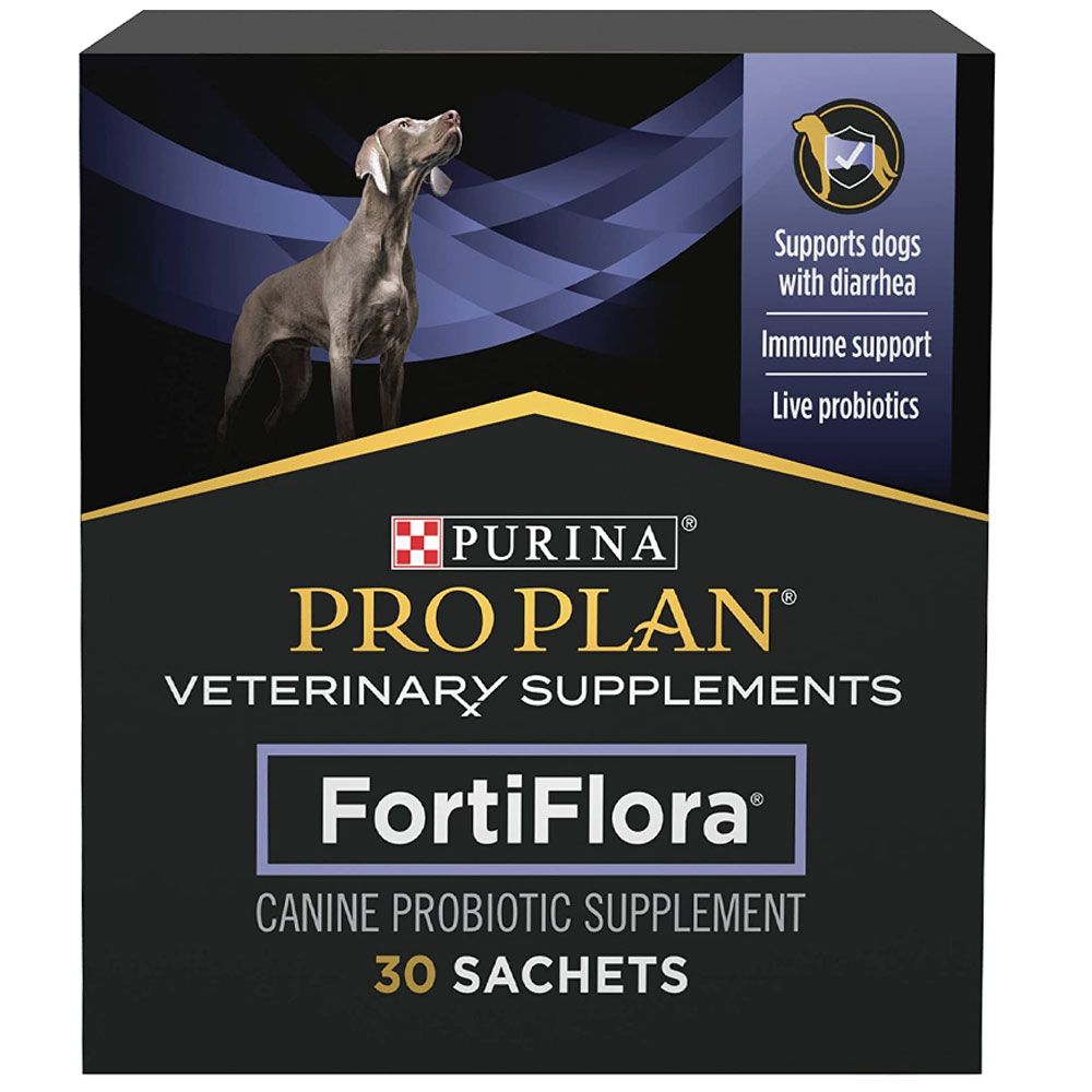 Picture of Do Probiotics Give Dogs Diarrhea