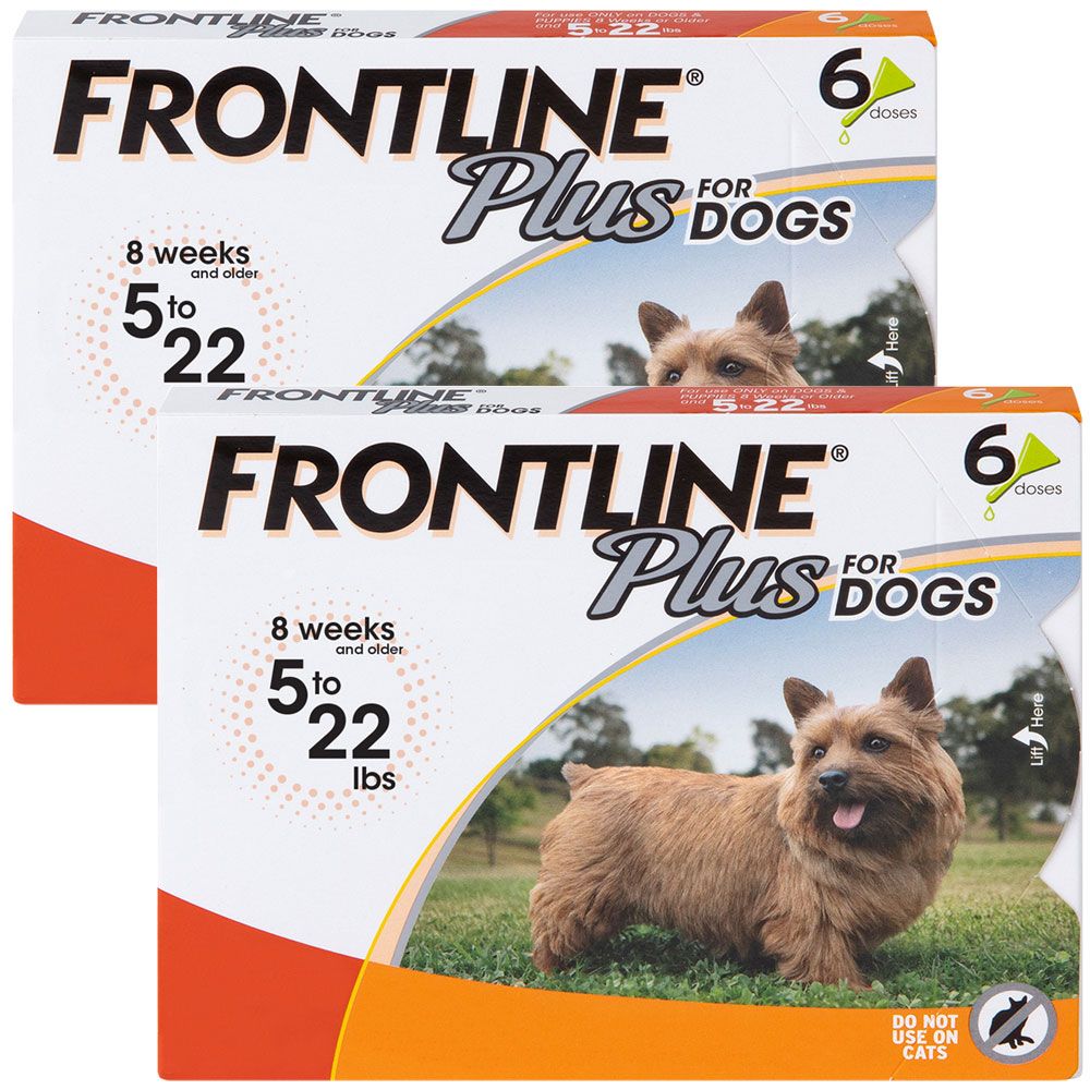 How Long Does Frontline Take To Work On Dogs