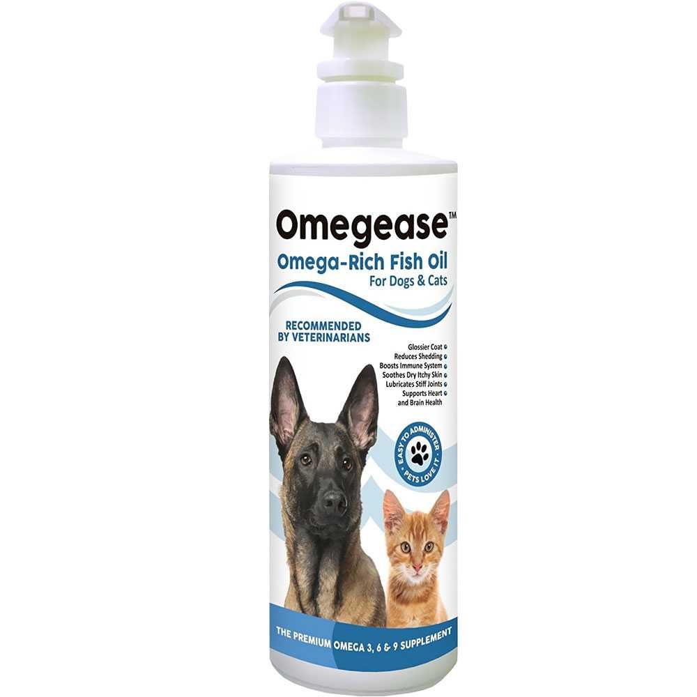 How To Give Dogs Omega 3
