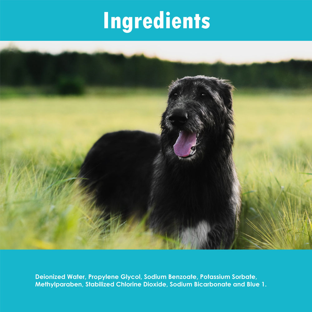 Is Stabilized Chlorine Dioxide Safe For Dogs To Ingest
