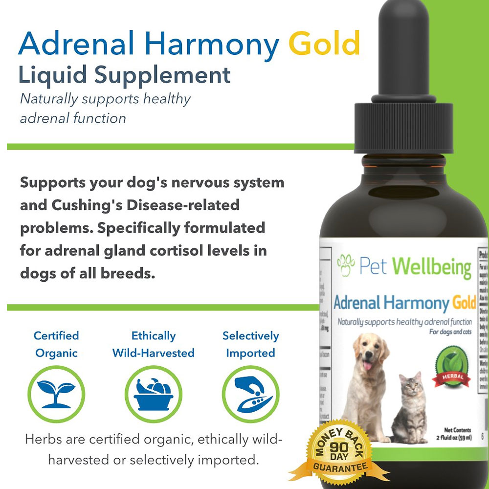 Pet Wellbeing Adrenal Harmony Gold Cushing's Disease Dog Supplement (2