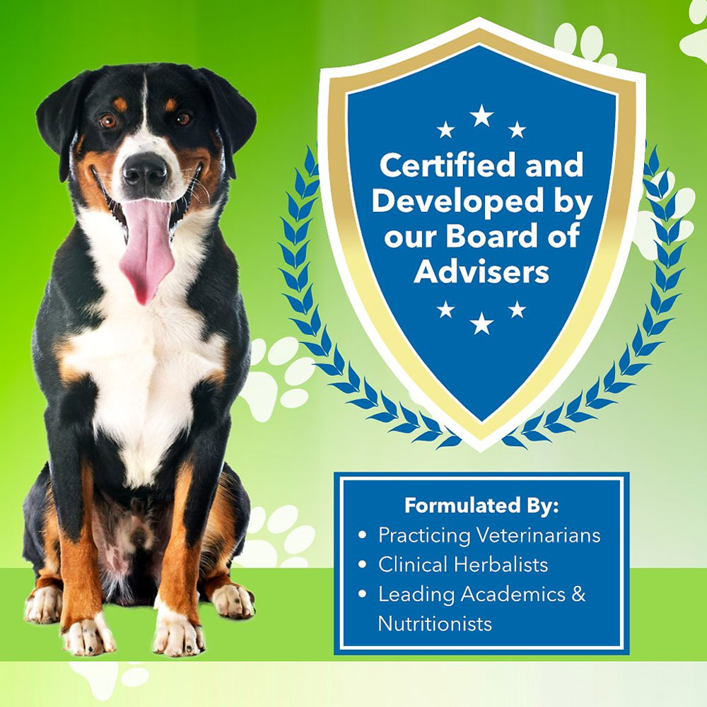 Pet Wellbeing Adrenal Harmony Gold Cushing's Disease Dog Supplement (2