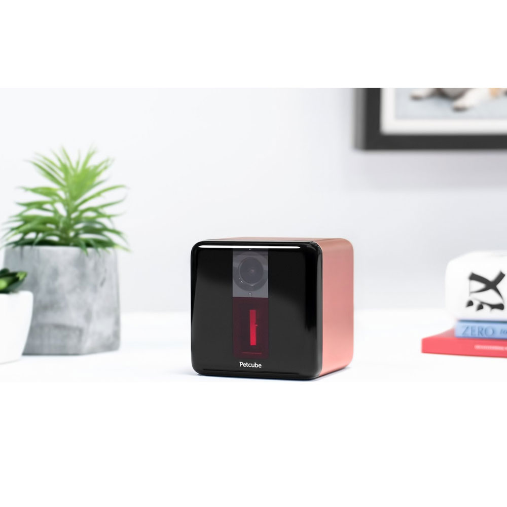 Petcube Play - Rose Gold | Healthypets