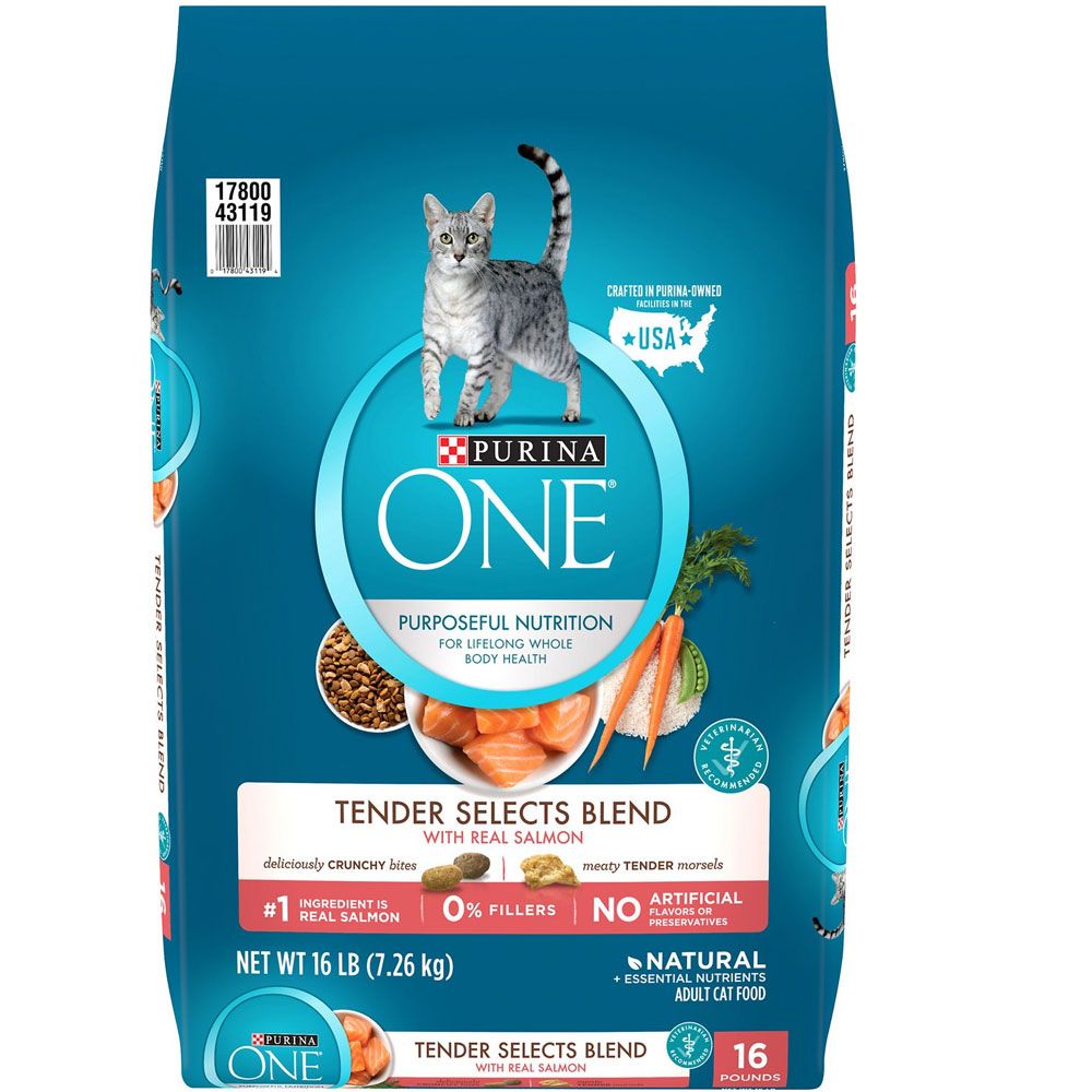 Purina ONE Tender Selects Blend with Real Salmon Dry Cat Food, 16lb