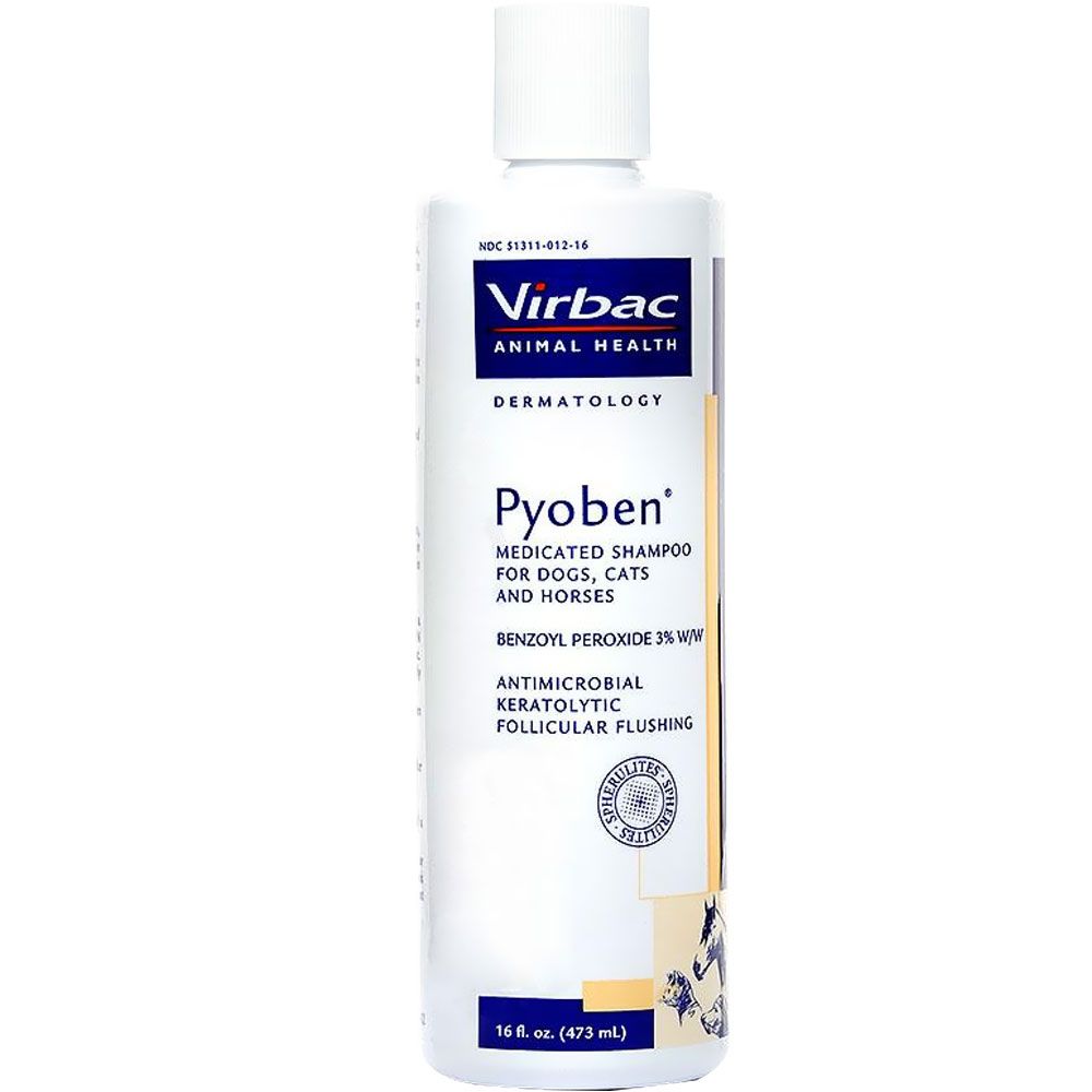 Pyoben Shampoo (16 oz) On Sale HealthyPets