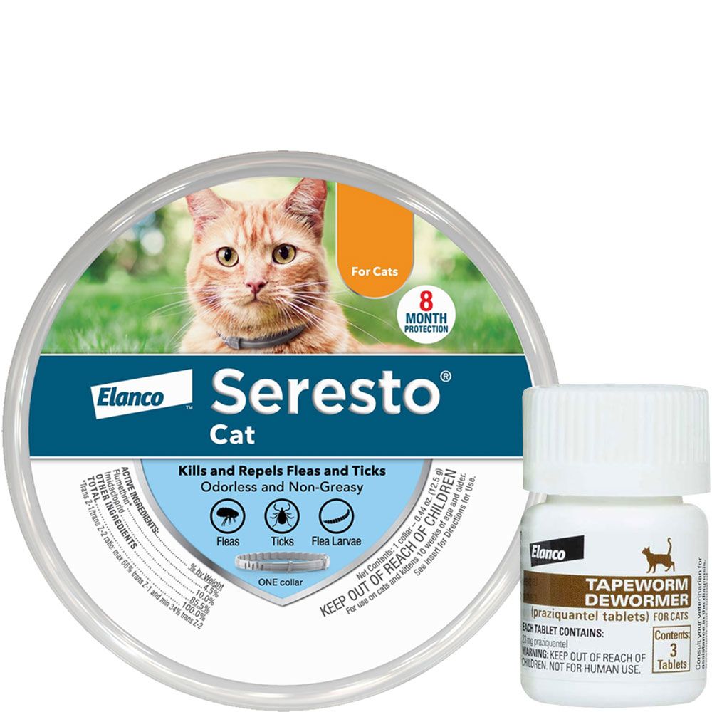 oral kitten dewormer