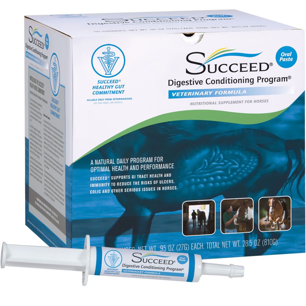 Succeed DCP Veterinary Formula Paste (27 gm) Healthypets