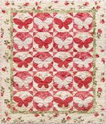 Butterfly Reflections