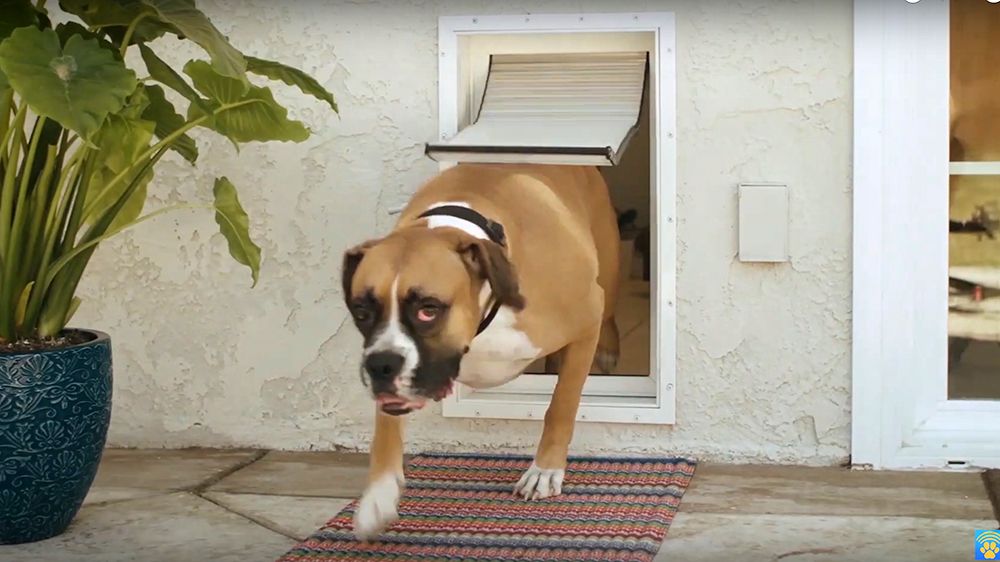 Armor Flex Air Tight Pet Doors