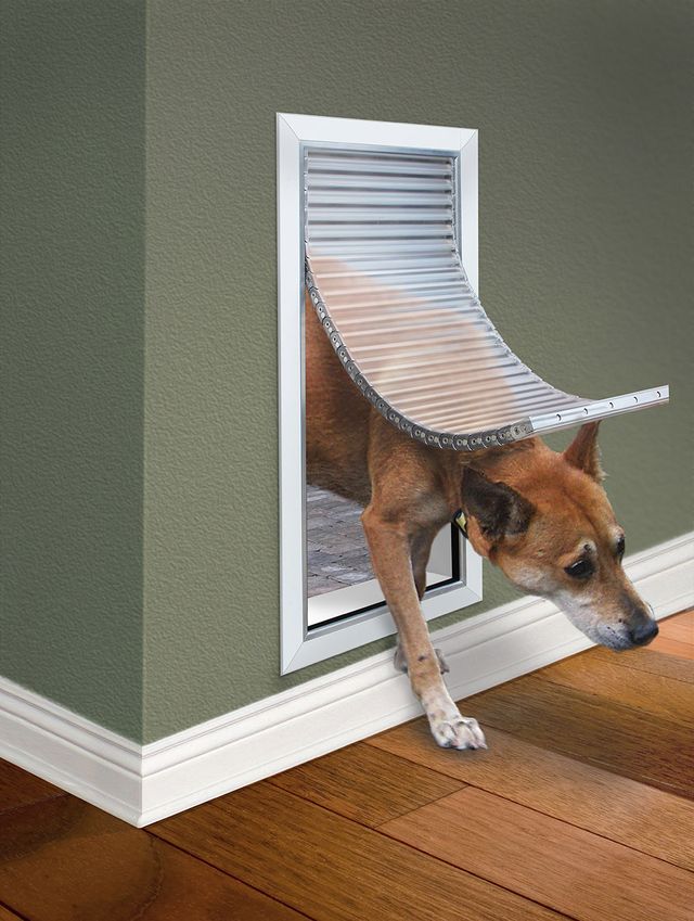 Insulated Pet Doors DoorMounted Dog Doors Freedom Pet Pass atelieryuwa.ciao.jp