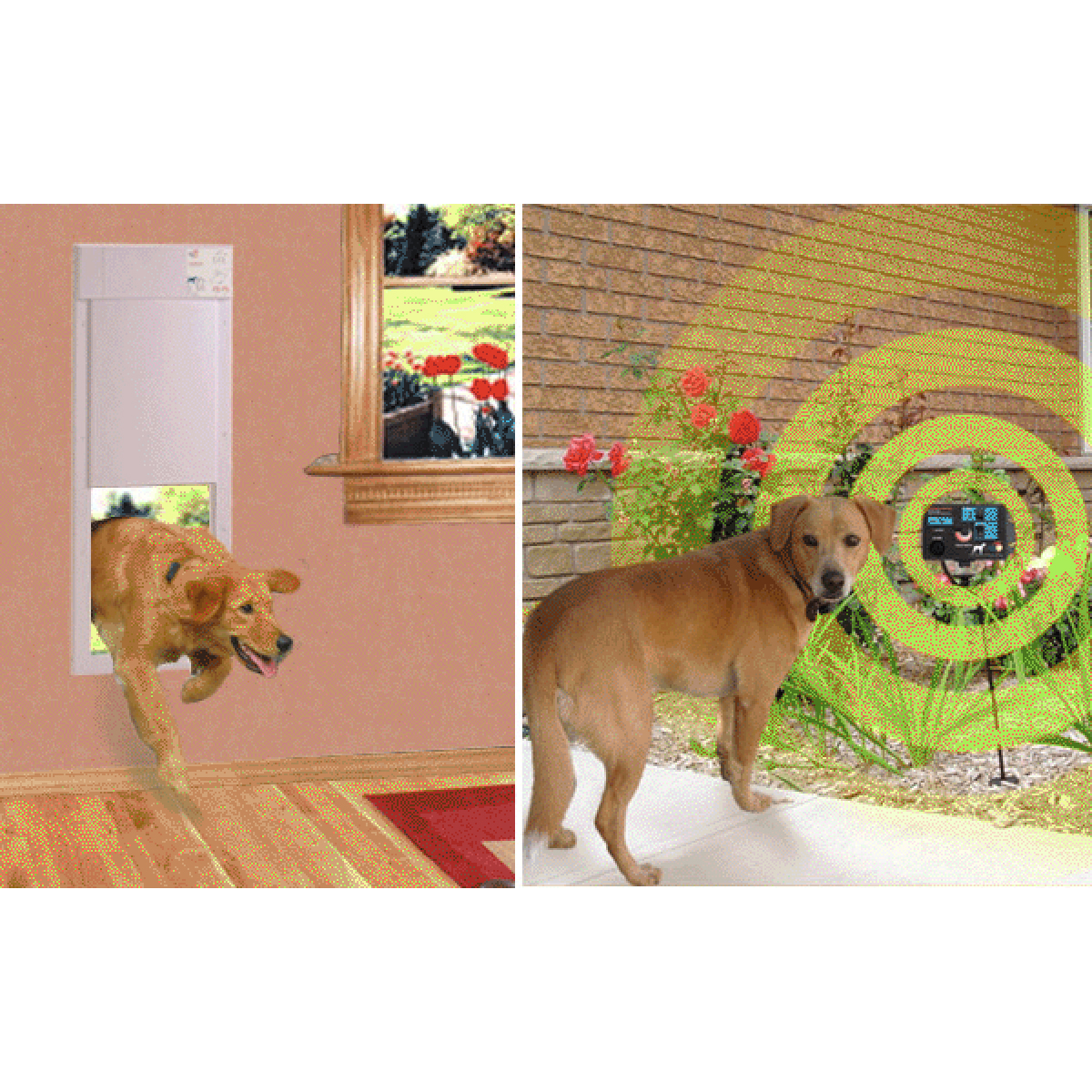 ELECTRONIC DOG DOORS