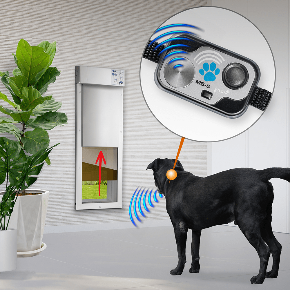 Pet Collar Cat Door With Sensor Petsafe Cat Door With Collar