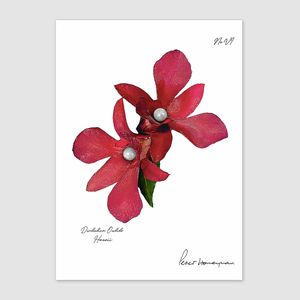 Fine Art Prints