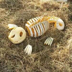 The Pumpkin Lizard Skeleton