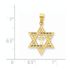 14k Gold Diamond-cut Star of David with the Cross Pendant 7/8" 