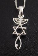 Messianic Seal Grafted In Root Sterling Silver pendant and chain from Jerusalem