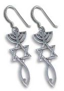 Sterling Silver Messianic Seal Earrings Grafted In from Israel