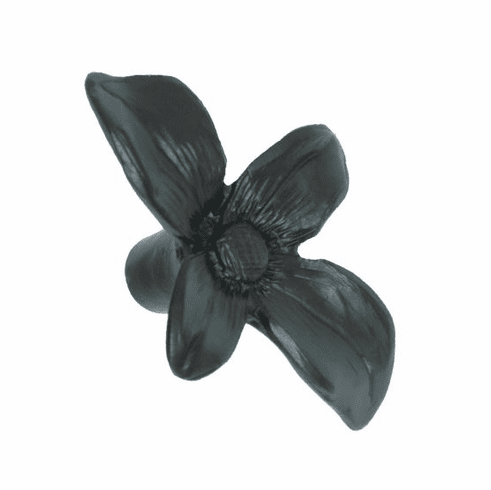 Acorn APQBP Black Dogwood Cabinet Knob UPC: 052763209718