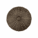 Acorn DP7AP Sea Urchin Cabinet Knob, Antique Brass UPC: 052763811447