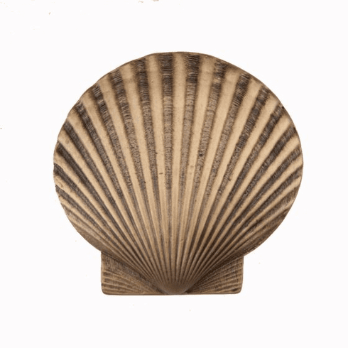 Acorn DPGGP Large Scallop Cabinet Knob, Museum Gold UPC: 052763811706