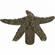Atlas Homewares 142-BB Starfish 2" Length Novelty Knob Burnished Bronze