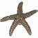 Atlas Homewares 142-BB Starfish 2" Length Novelty Knob Burnished Bronze