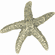 Atlas Homewares 142-V Starfish 2" Length Novelty Knob Verdigris