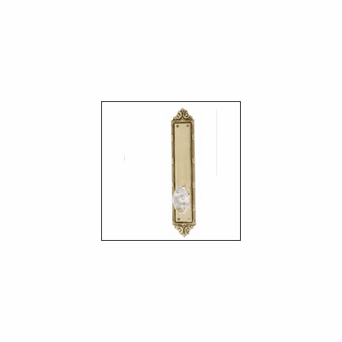Brass Accents D05-K723 Glass Knob and Plate 2-1/2" x 13-3/4" Plate, Center to Center 5-1/2"