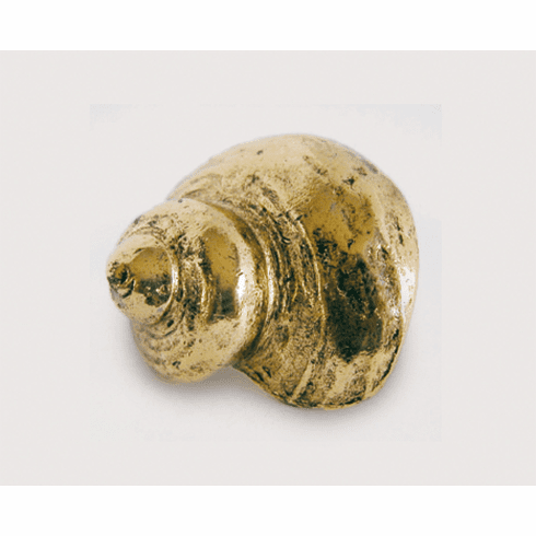Emenee OR424 Fighting Conch Cabinet Knob 2 inch x 1-1/2 inch