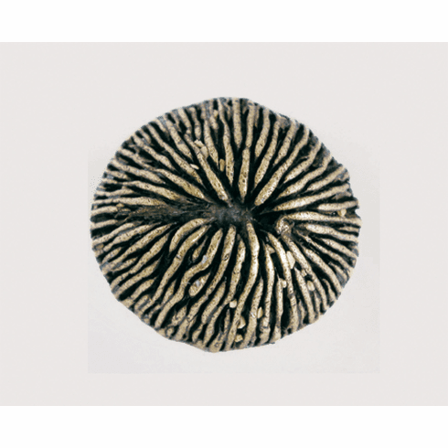 Emenee OR425 Mushroom Coral Cabinet Knob 1-1/2 inch