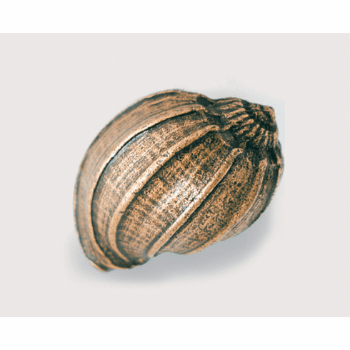 Emenee OR428 Voluntidae Conch Cabinet Knob 2 inch x 1-1/2 inch