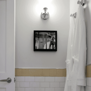 Gratitude Collection