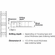Hafele Connector Housing, Rafix 20 System, without Ridge, Plastic, with Tightening Element, For wood thickness 19 mm, maple, Item# 263.10.165, 26310165, 263-10-165