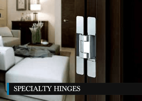 Special Hinges