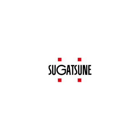 Sugatsune 1300-KEY Key For 1300Gl UPC: 769785902649 (each)