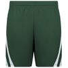 Alleson 539P Mesh Stripe Basketball Shorts