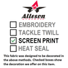 Alleson 56REV Mesh Reversible Flag Football Jersey