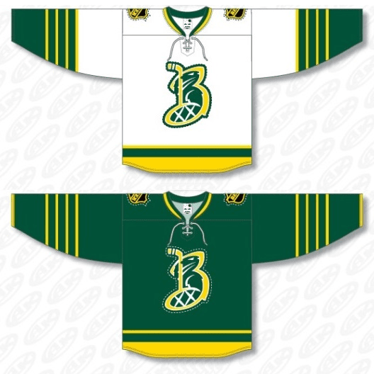 Custom Hockey Jerseys Athletic Knit Custom Cut & Sew H840 H845 H850