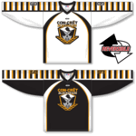 Athletic Knit ZHR100 Reversible Sublimated Hockey Jerseys