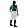 Champro BP10 14oz. Knicker Baseball Pants