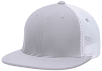 silver / white