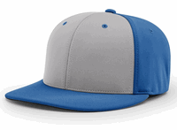 grey panel / royal