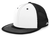 white panel / black