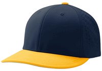 navy / gold