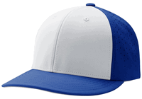 white panel / royal