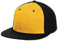 gold panel / black